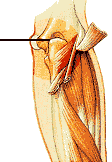 bursitis-relief