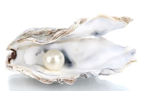 The Complete Guide to Calcarea Carbonica: Uses, Symptoms & Benefits in Homeopathy