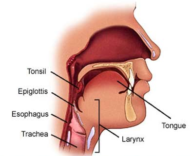 Understanding Croup & Homeopathic Remedies