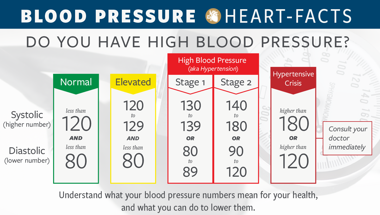 The Silent Killer: A Complete Guide to Managing Blood Pressure with Homeopathy