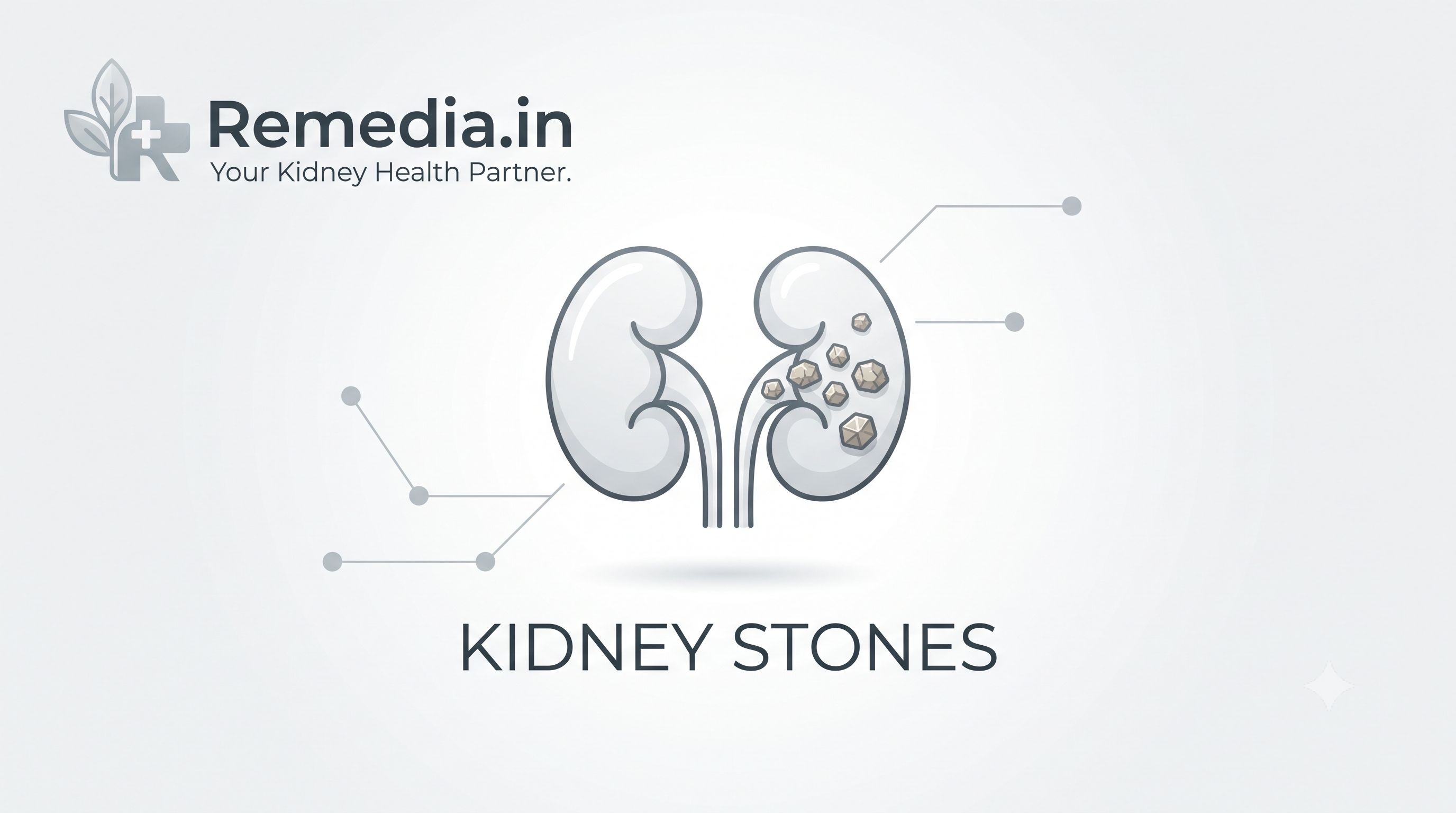The Hidden Agony: Everything You Need to Know About Kidney Stones