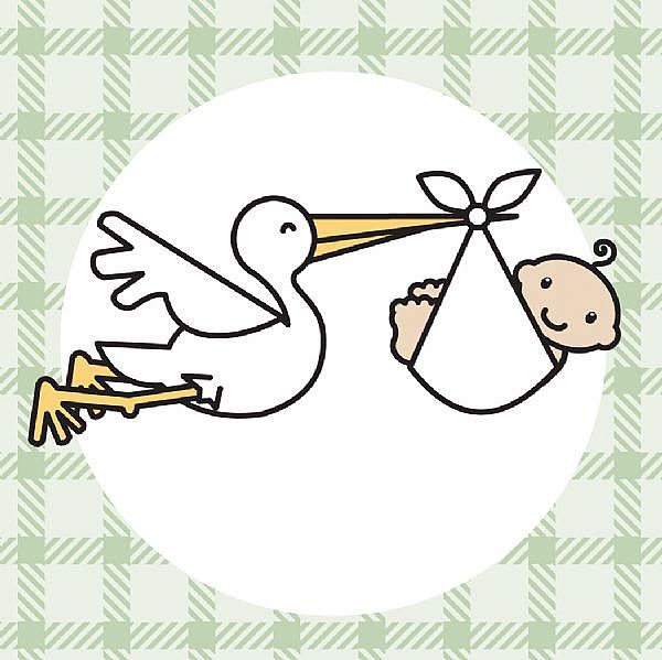 Planning a Baby: The Ultimate Guide to a Healthy, Natural Pregnancy