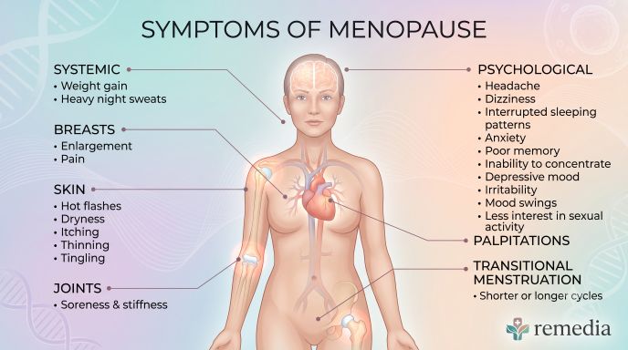 The Complete Homeopathic Guide to Menopause and Irregular Periods