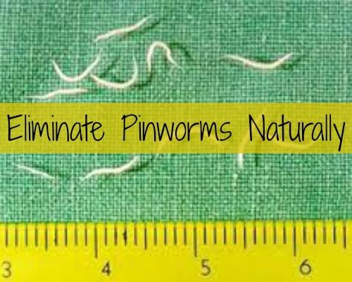 5 Homeopathic Remedies to Naturally Treat Pinworms in Children