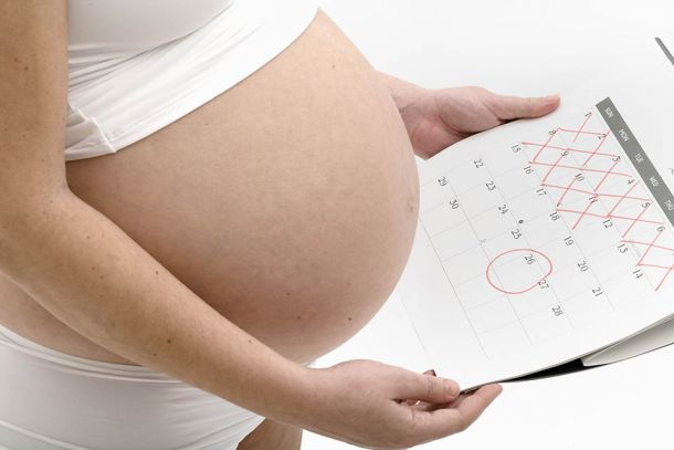 Natural Motherhood: A Homeopathic Guide to Conception, Pregnancy, and Safe Delivery