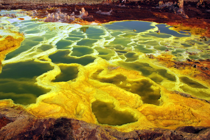 Understanding Sulphur: The "Ragged Philosopher" and Master Constitutional Remedy