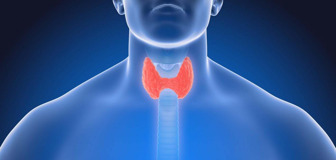 The Complete Homeopathic Protocol for Thyroid Dysfunction