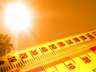 Defeat the Heat: A Complete Homeopathic Summer Survival Guide
